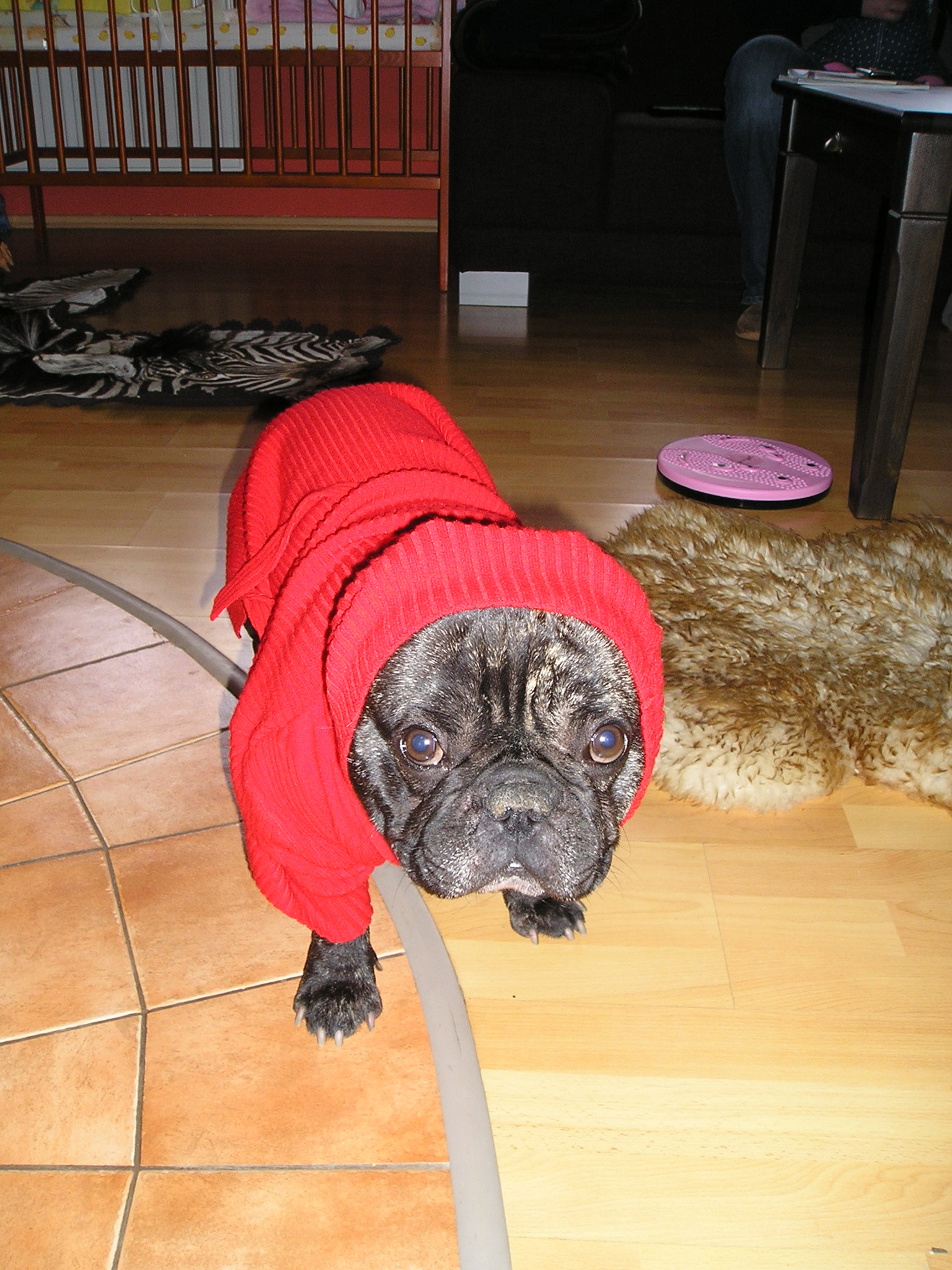 Zuzka 037.jpg