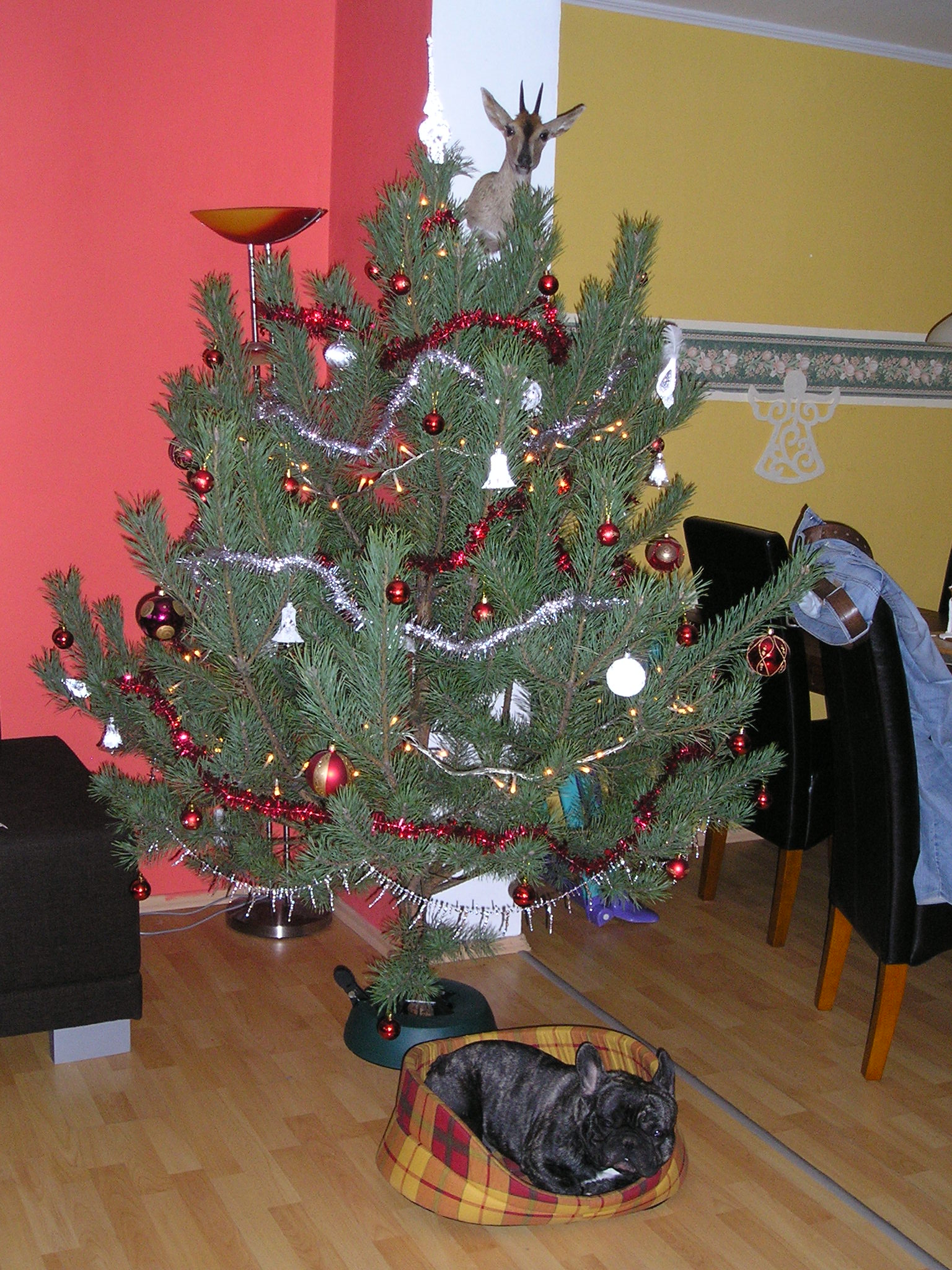 Zuzka 034.jpg